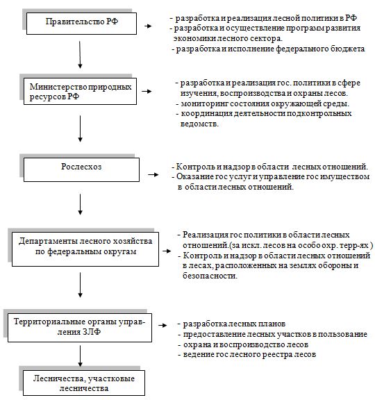 Курсовая работа: Лесное хозяйство Российской Федерации